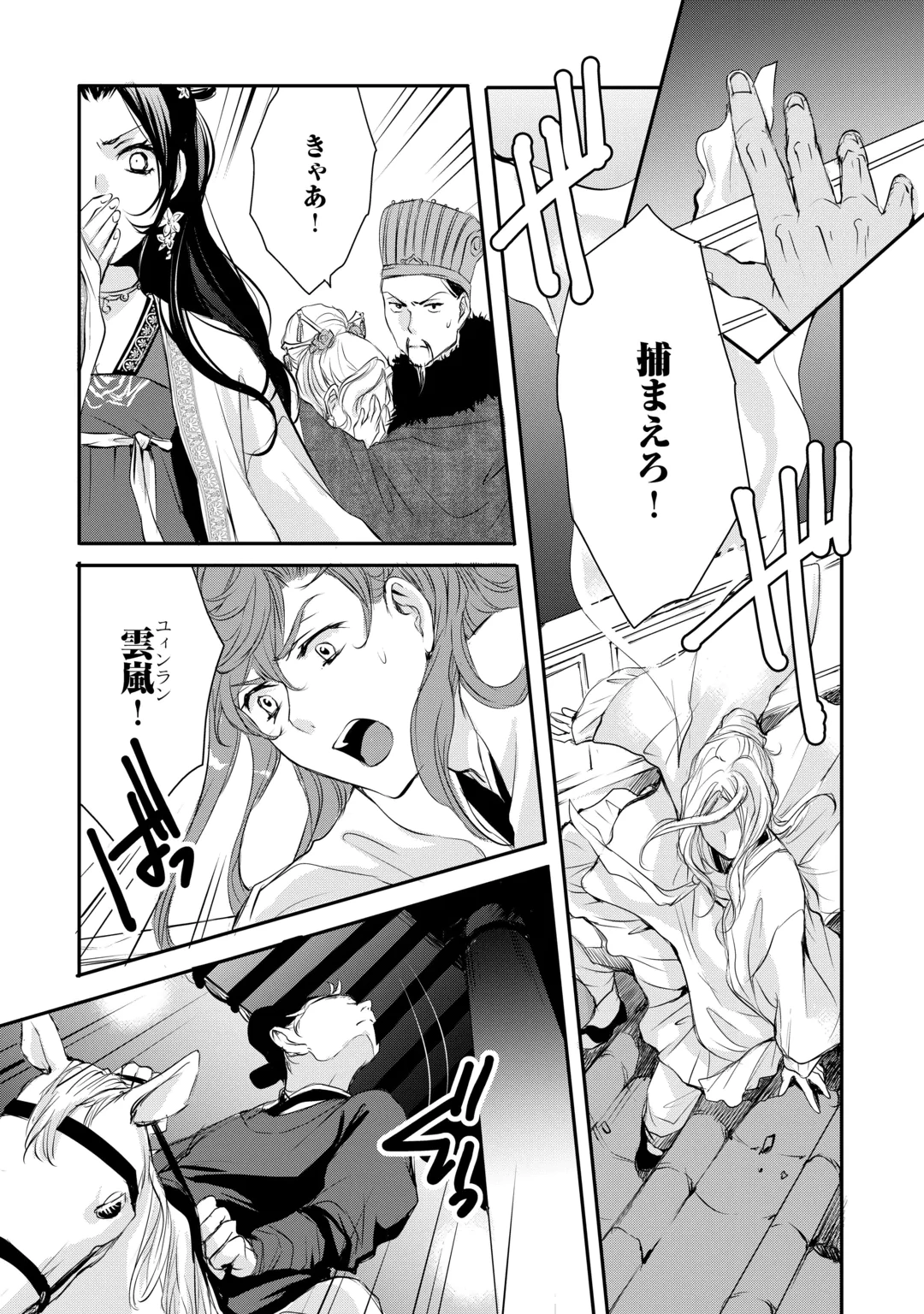 Koukyuu no Kakure Kusushi wa Yamiyo wo Terasu Chapter 11 17ページ