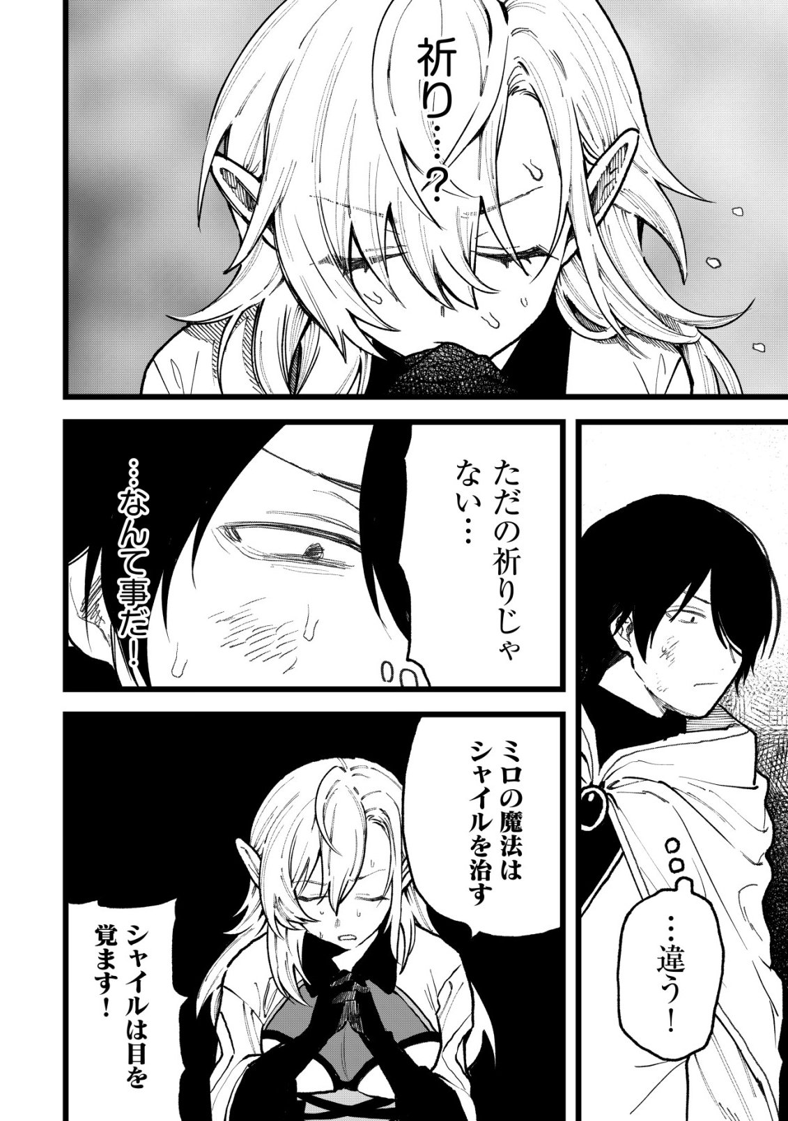 Ryakudatsu Tsukai no Nariagari Tsuihou Sareta Otoko wa Saikou no Nakama to Eiyuu wo Mezasu Chapter 16 13ページ