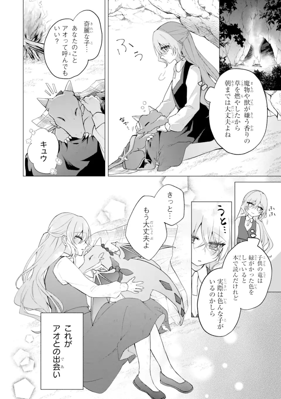 Wakeari Koushaku Reijou no Toubou Keikaku - Haraguro Ryuukishi Denka no Shuuchaku Ai ga Omosa Sugite Nigerareru Ki ga Shimasen - Chapter 3.1 12ページ