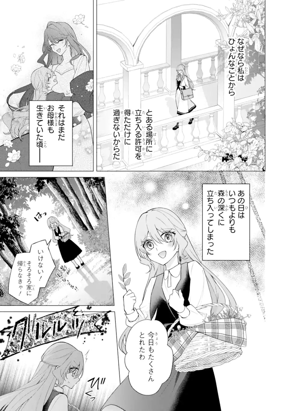 Wakeari Koushaku Reijou no Toubou Keikaku - Haraguro Ryuukishi Denka no Shuuchaku Ai ga Omosa Sugite Nigerareru Ki ga Shimasen - Chapter 3.1 7ページ