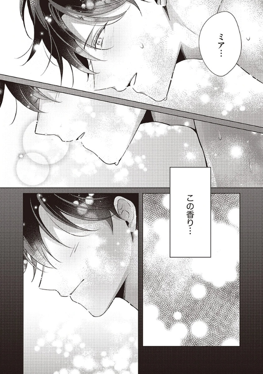 Tatoe Aisarenai Seijo da to Shite mo Chapter 5.5 6ページ