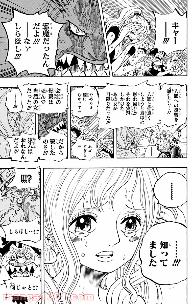 One Piece Chapter 632 17ページ