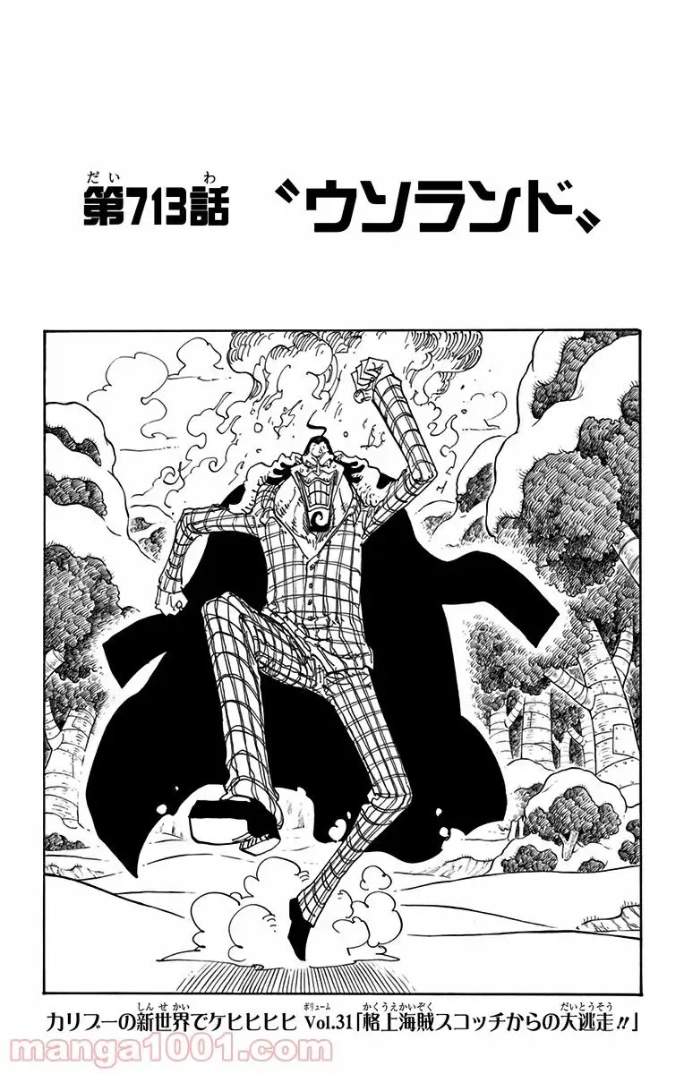 One Piece Chapter 713 1ページ
