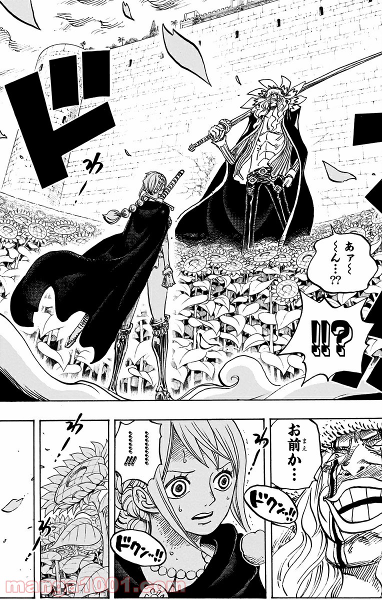 One Piece Chapter 756 19ページ