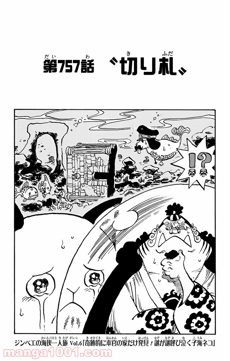 One Piece Chapter 757 1ページ