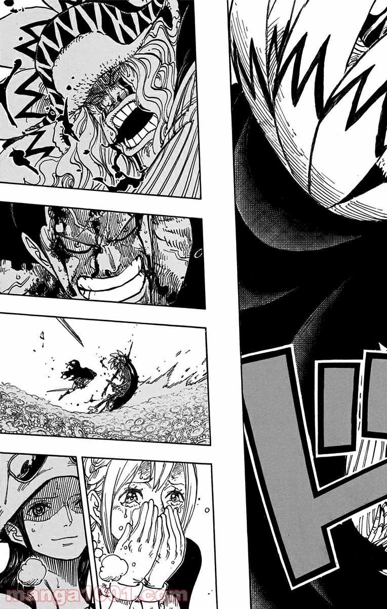 One Piece Chapter 776 22ページ