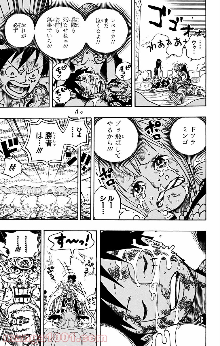 One Piece Chapter 791 13ページ