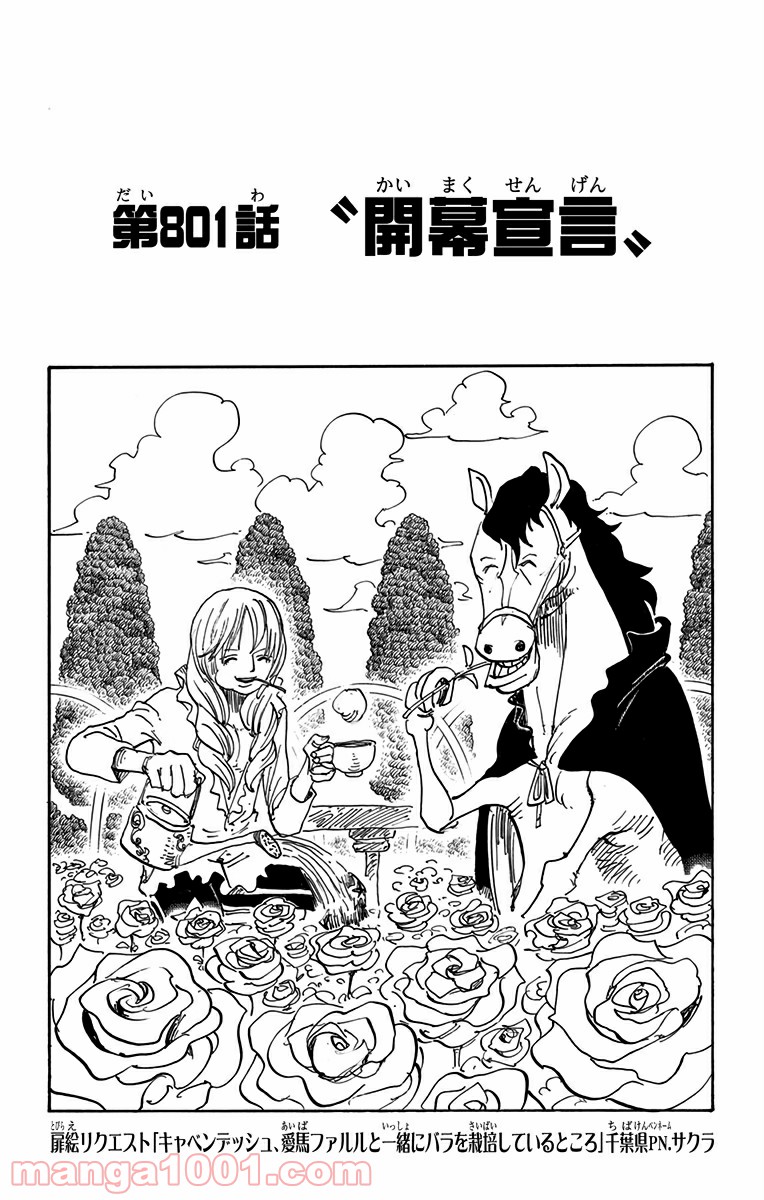 One Piece Chapter 801 1ページ