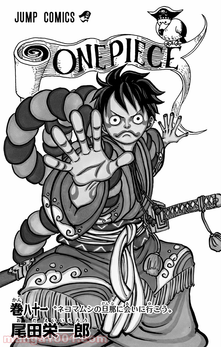 One Piece Chapter 807 1ページ