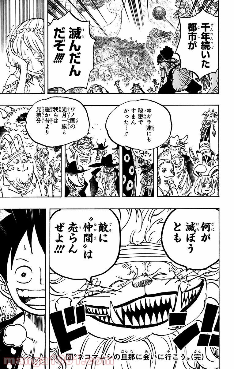 One Piece Chapter 816 17ページ