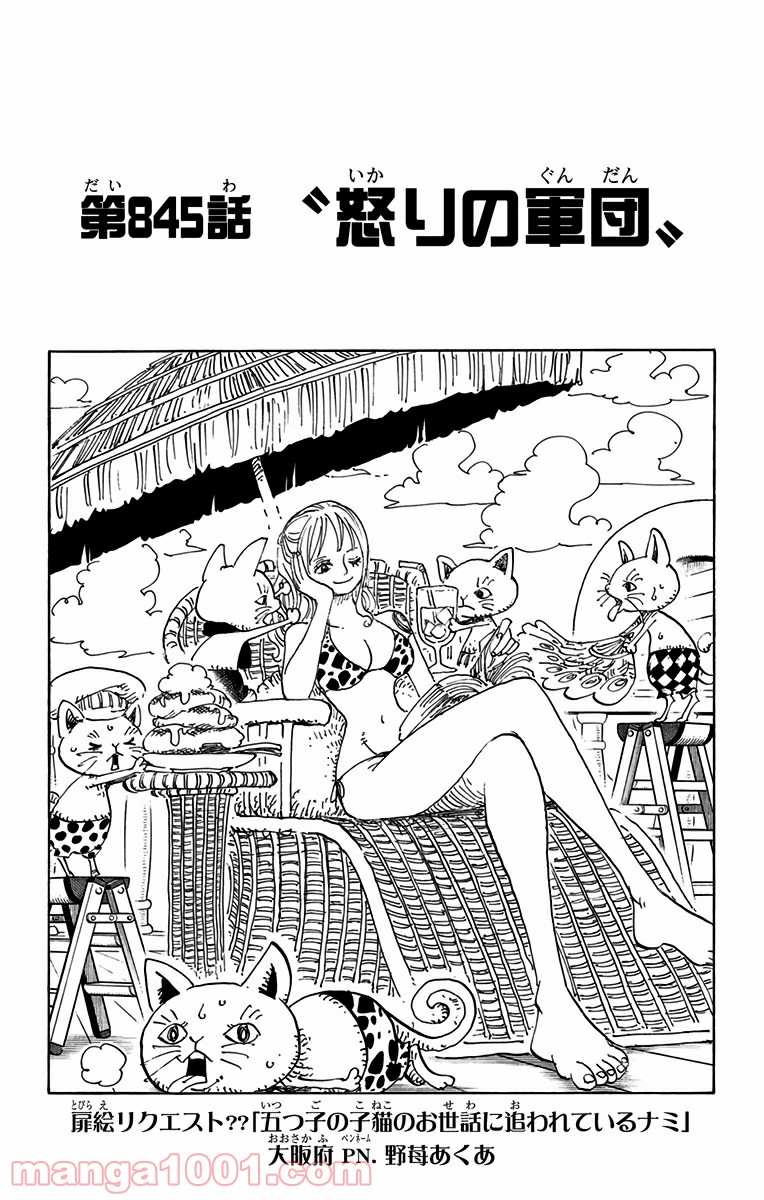 One Piece Chapter 845 1ページ