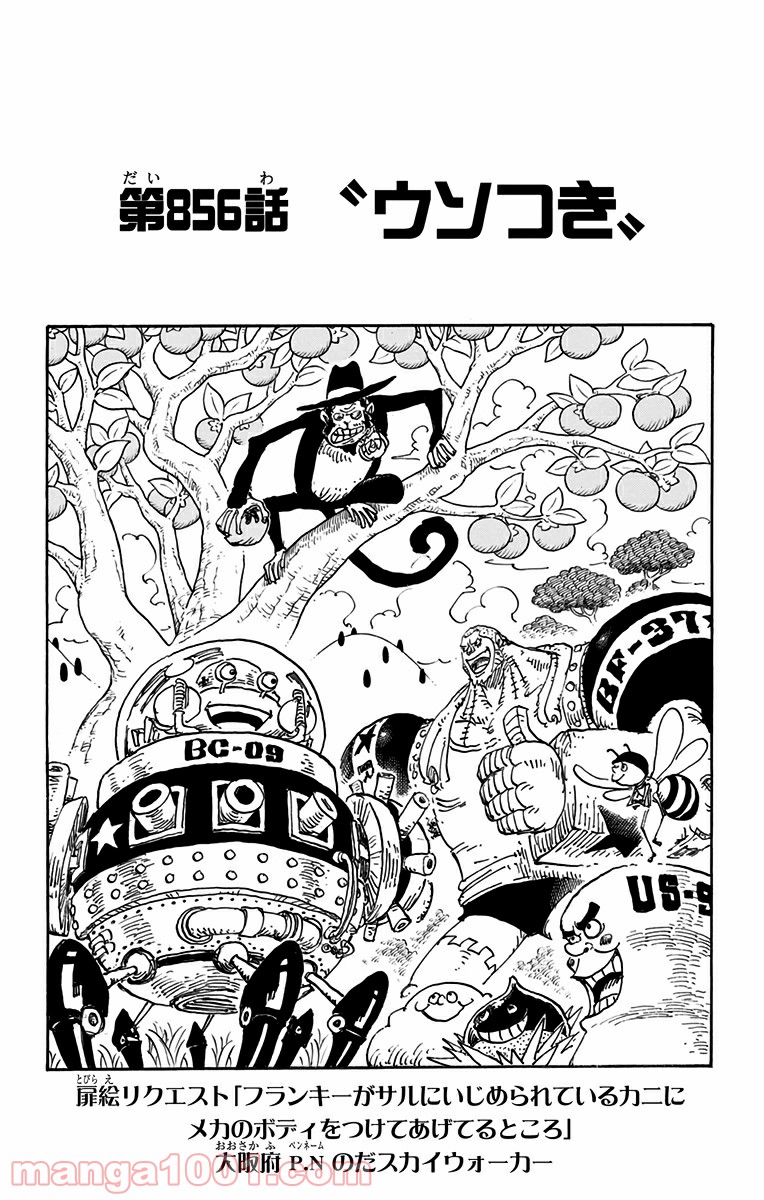 One Piece Chapter 856 1ページ
