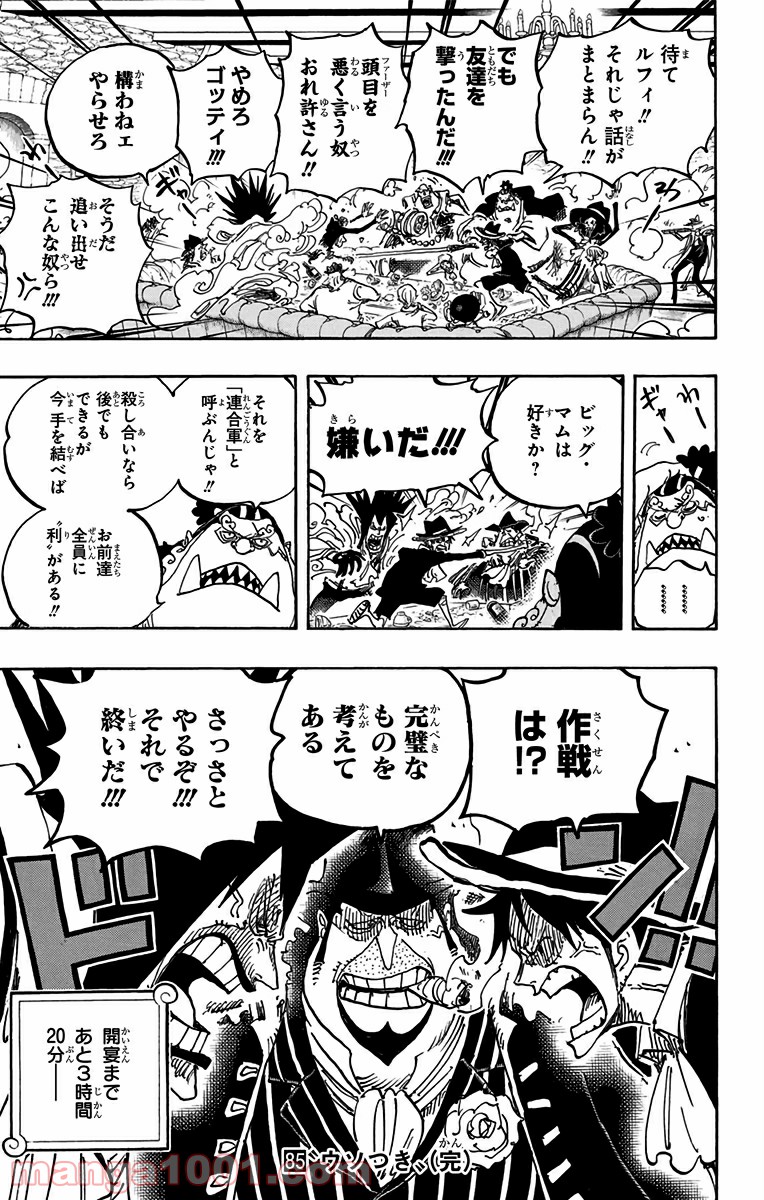 One Piece Chapter 858 19ページ