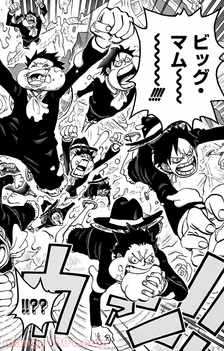 One Piece Chapter 862 16ページ