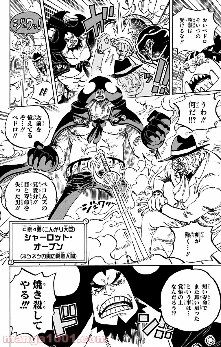 One Piece Chapter 864 10ページ