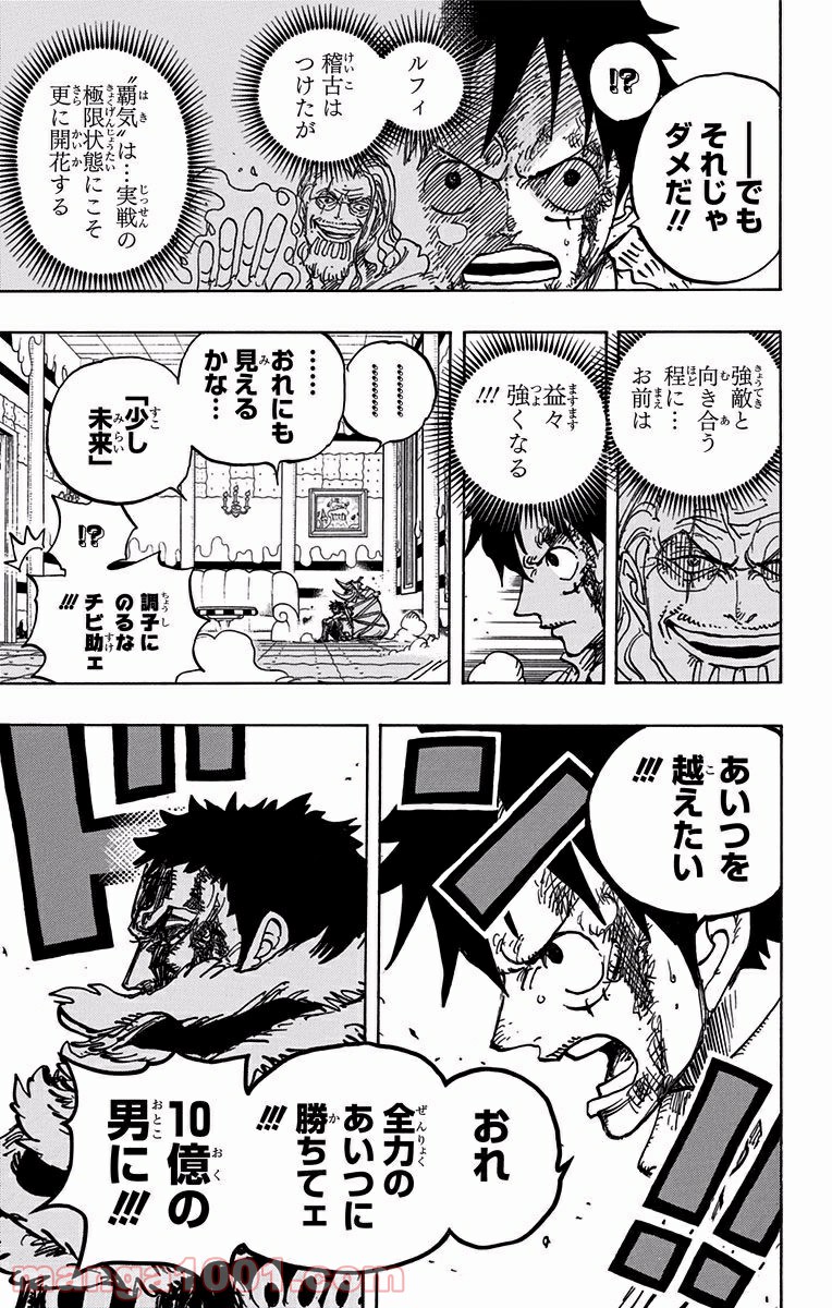 One Piece Chapter 886 19ページ