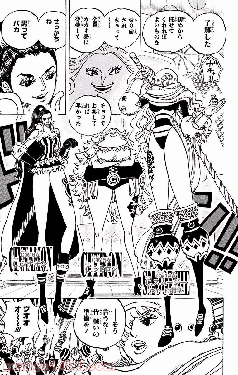 One Piece Chapter 892 11ページ