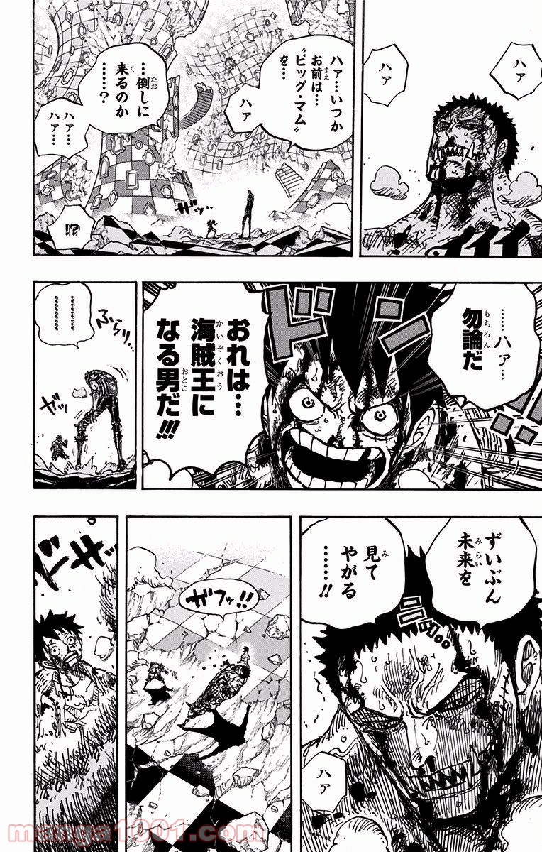 One Piece Chapter 896 14ページ