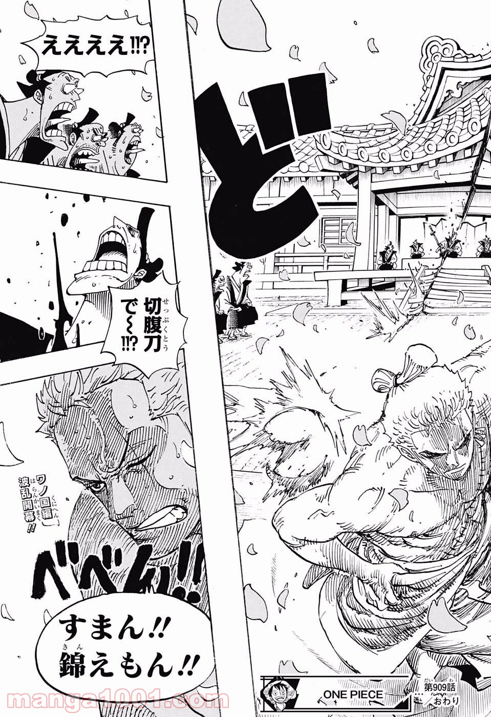 One Piece Chapter 909 17ページ