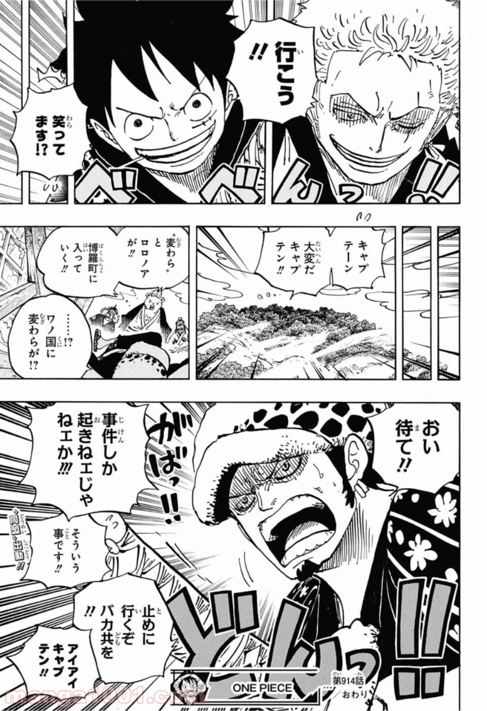 One Piece Chapter 914 17ページ