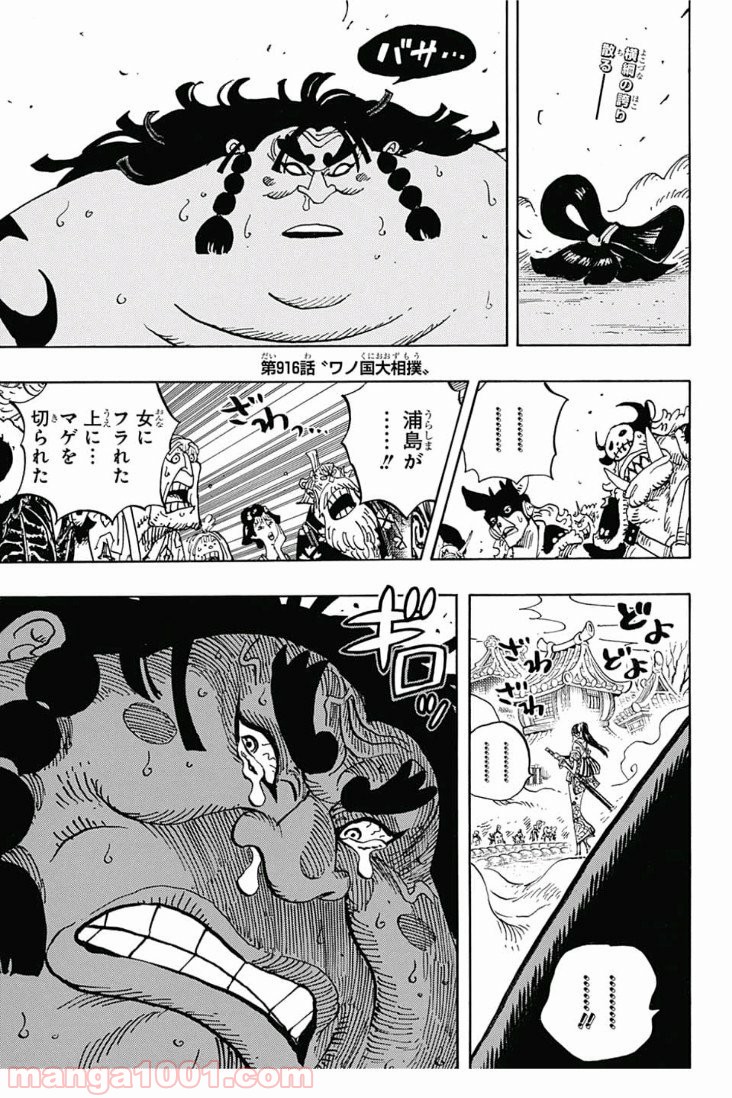 One Piece Chapter 916 4ページ