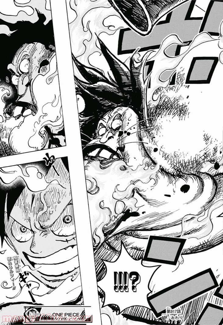 One Piece Chapter 917 17ページ