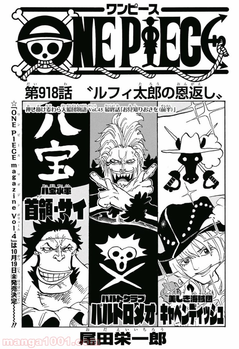 One Piece Chapter 918 1ページ