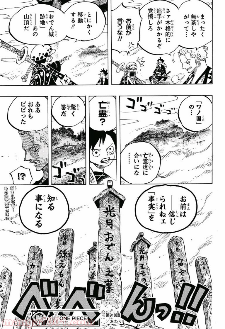 One Piece Chapter 918 17ページ