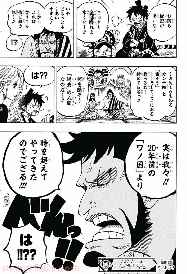 One Piece Chapter 919 17ページ