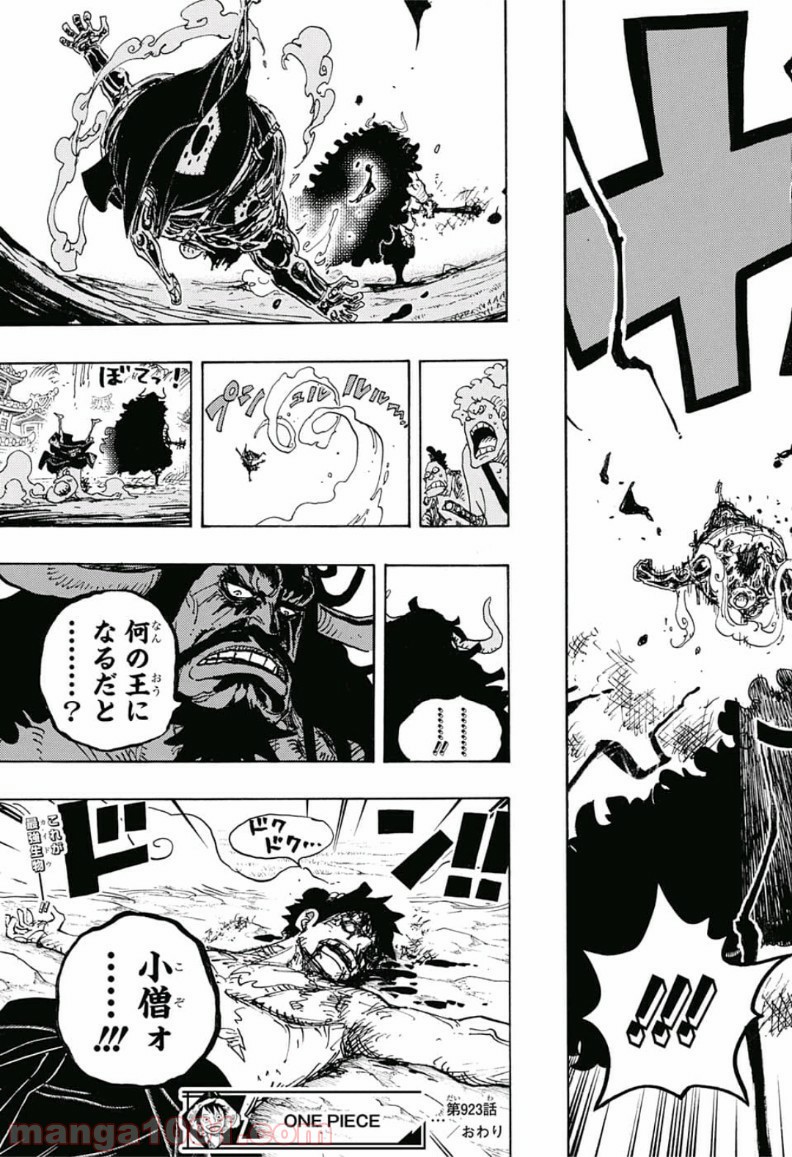 One Piece Chapter 923 17ページ
