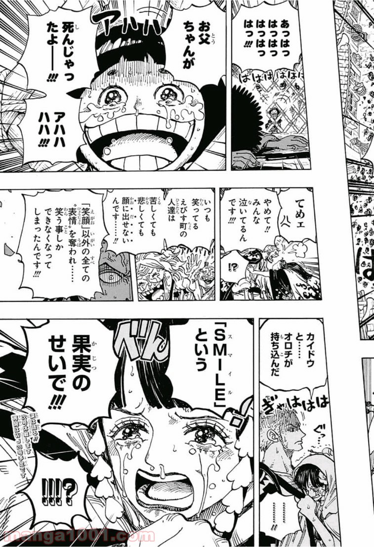 One Piece Chapter 942 17ページ
