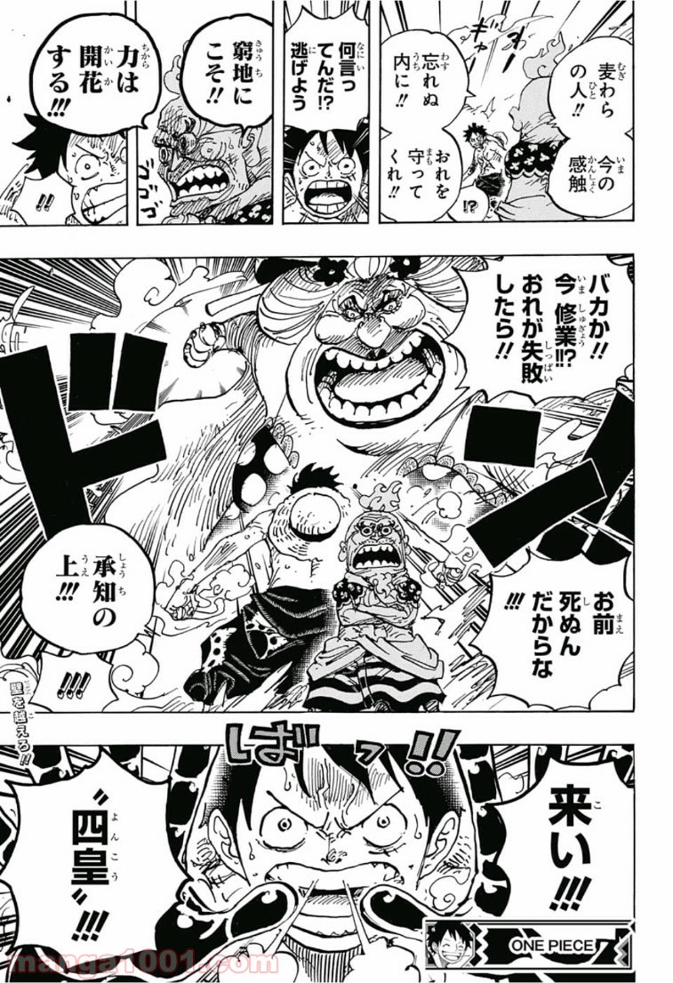 One Piece Chapter 946 17ページ