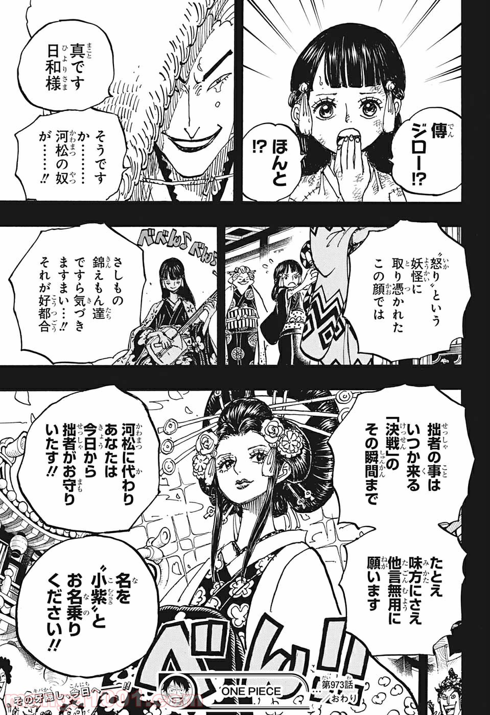 One Piece Chapter 973 17ページ