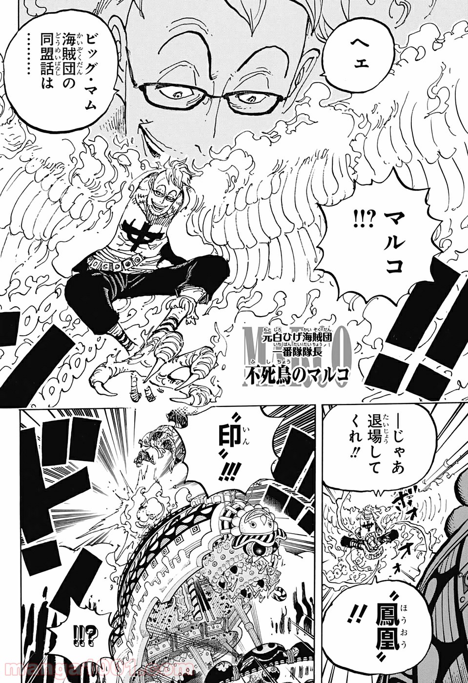 One Piece Chapter 981 16ページ