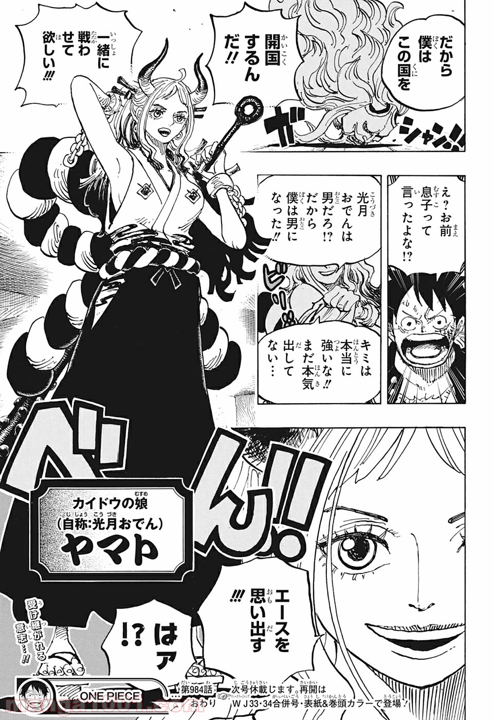 One Piece Chapter 984 17ページ