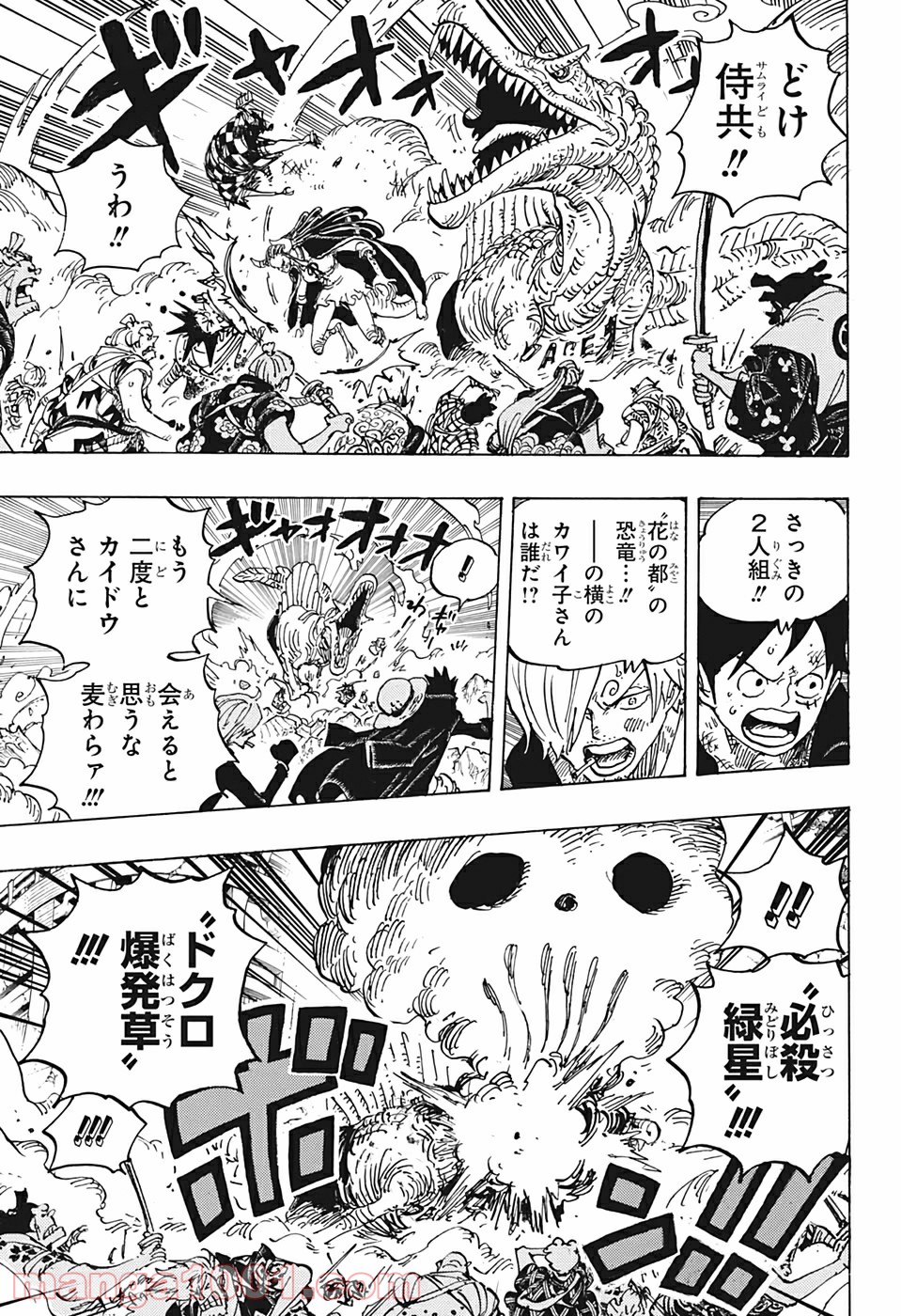 One Piece Chapter 991 5ページ