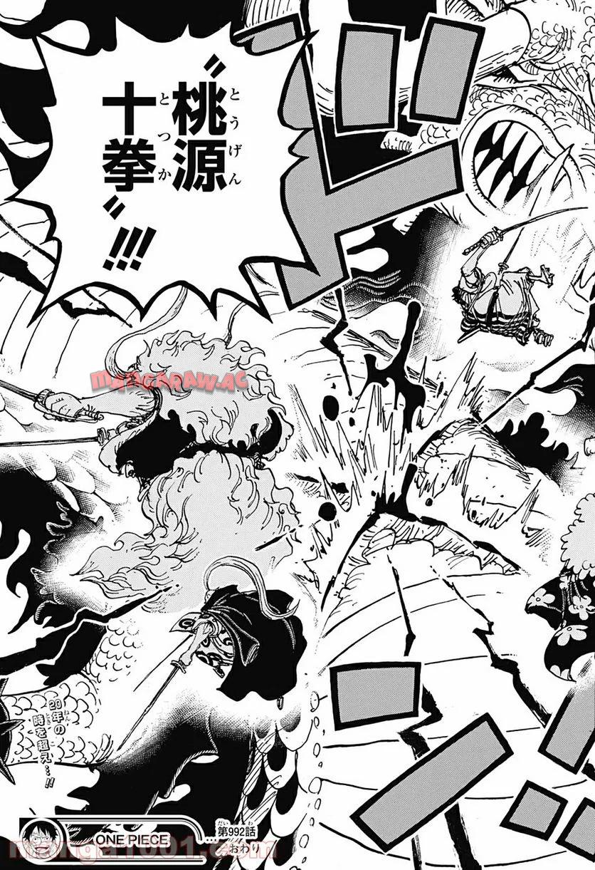 One Piece Chapter 992 17ページ
