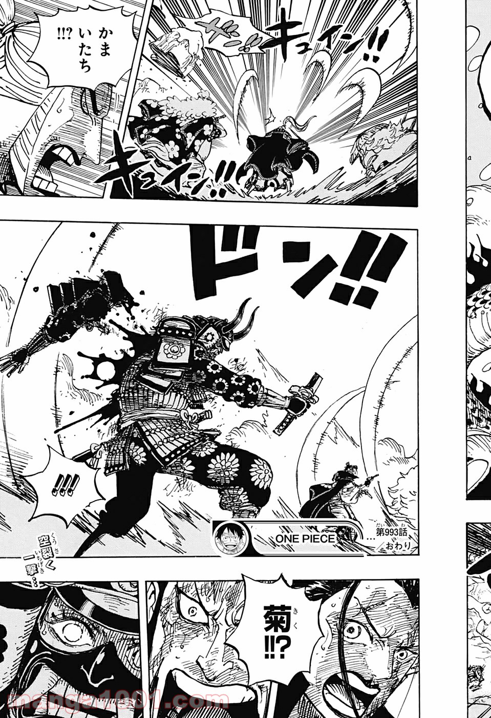 One Piece Chapter 993 17ページ