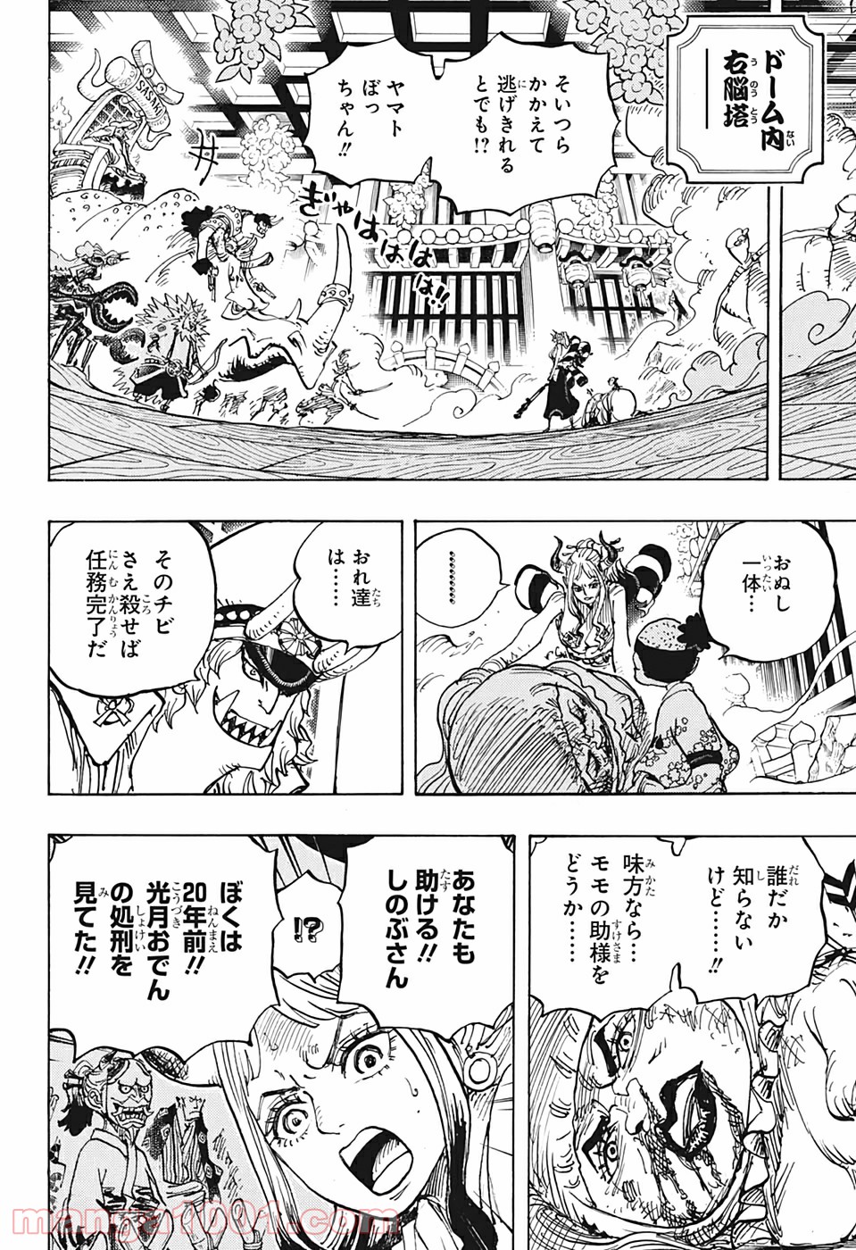 One Piece Chapter 994 14ページ