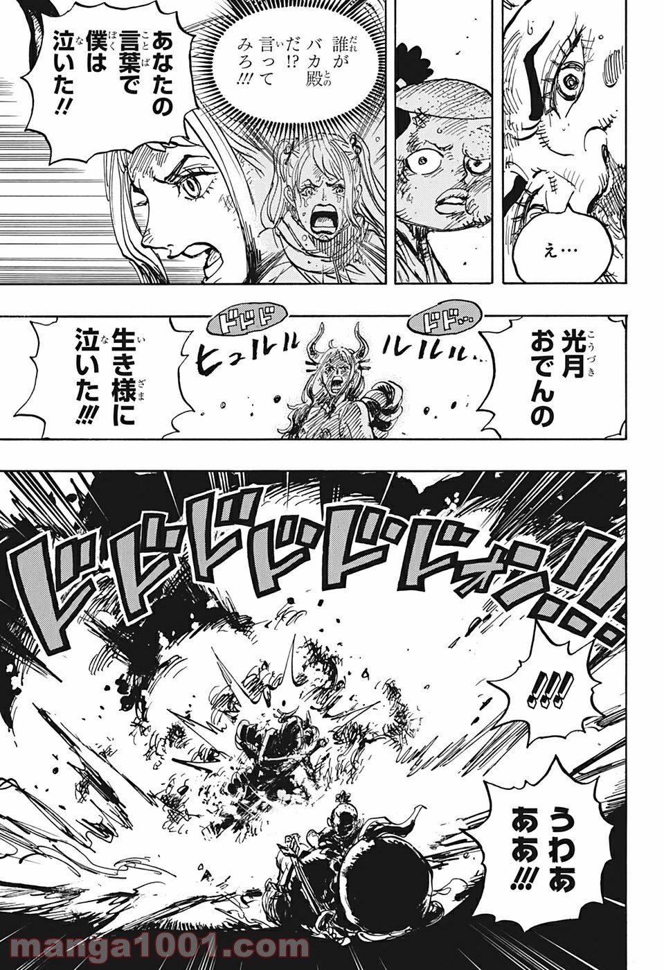 One Piece Chapter 994 15ページ