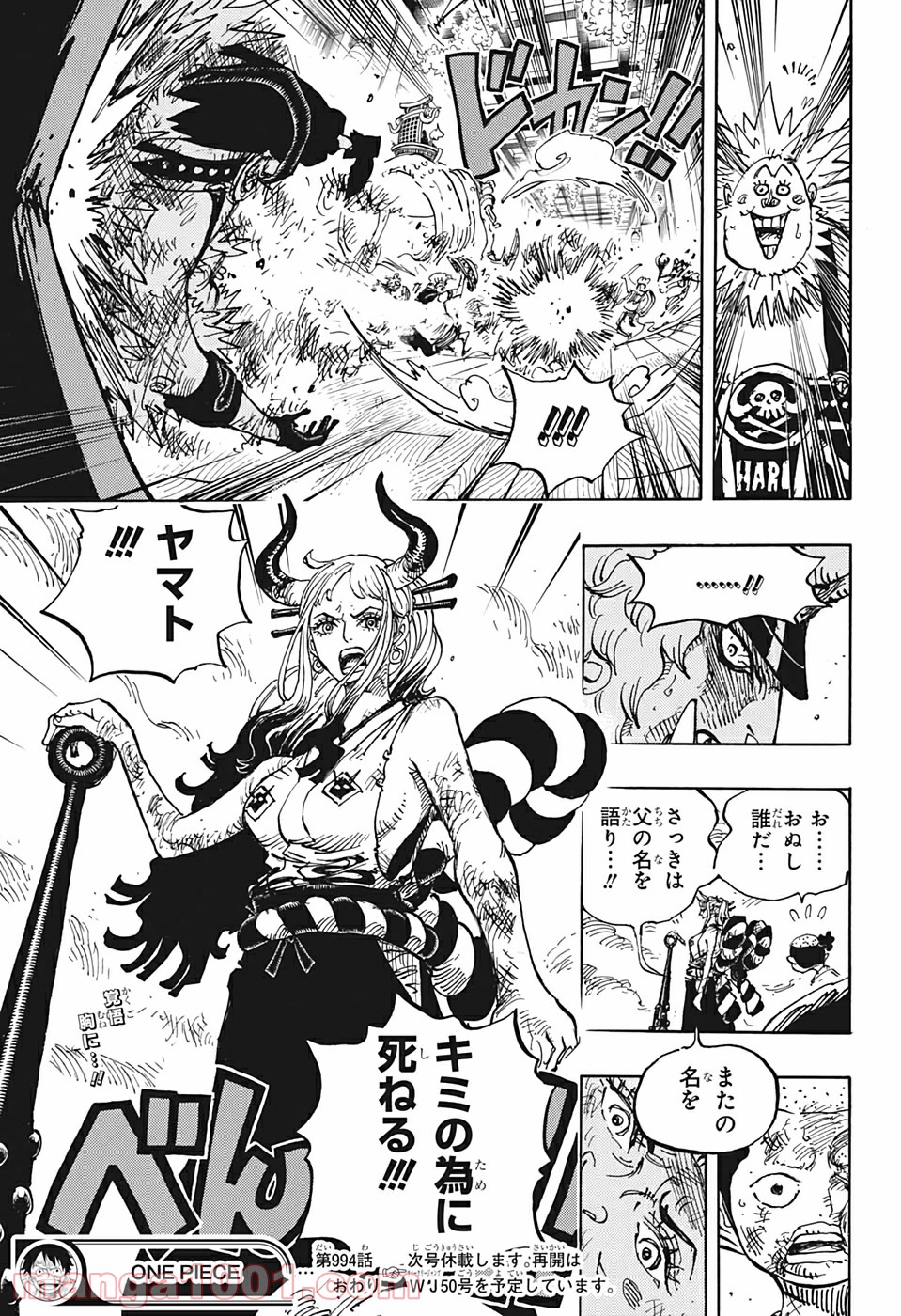 One Piece Chapter 994 17ページ