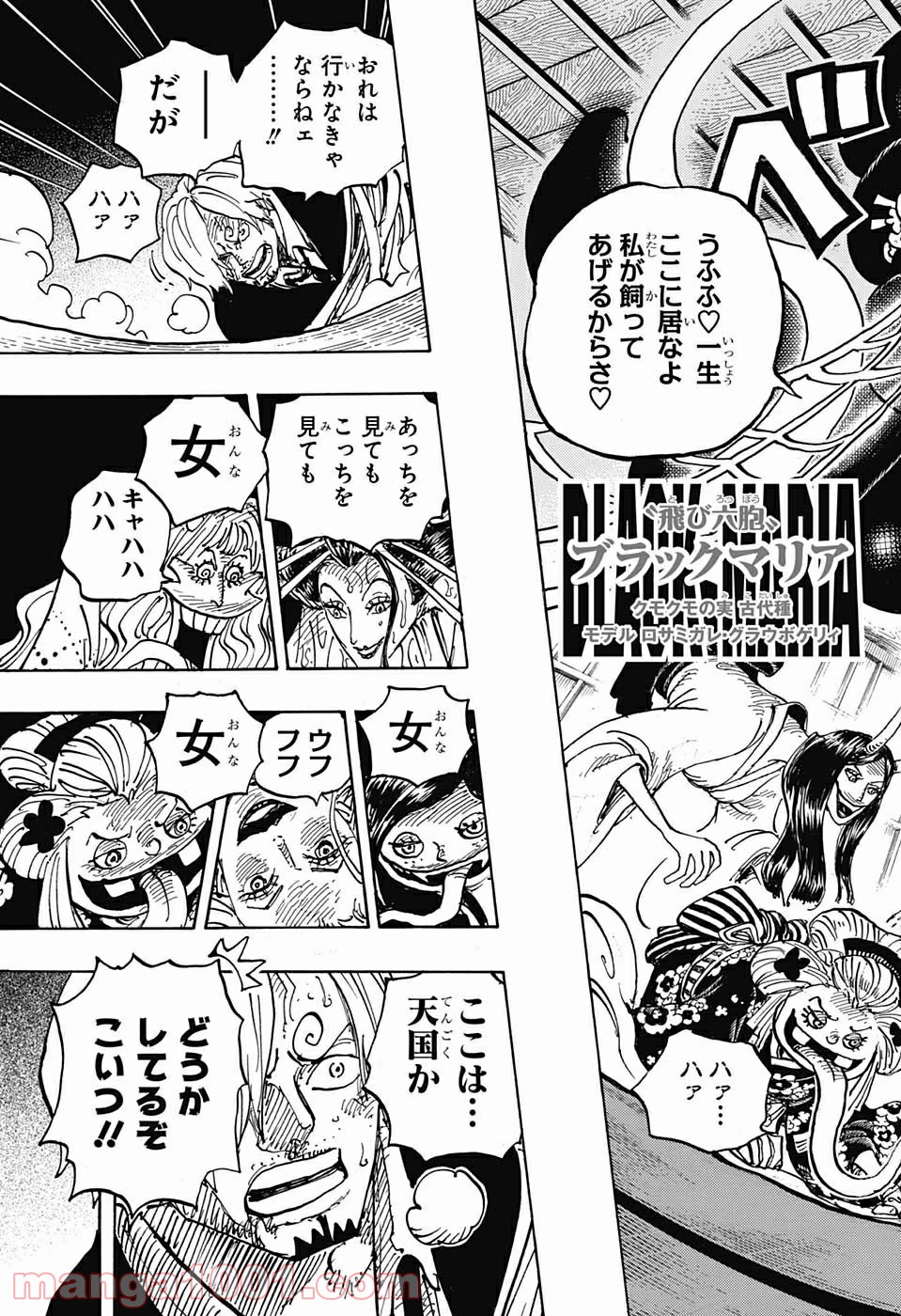 One Piece Chapter 998 12ページ