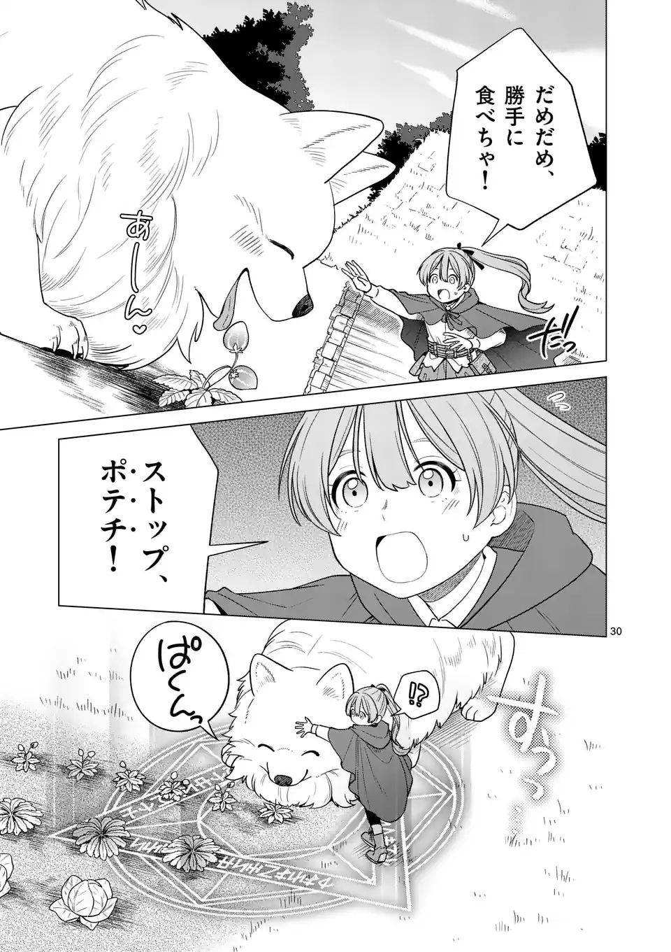 Isekai Pomeranian to Niji no Mofumofu Tabi Chapter 1 30ページ