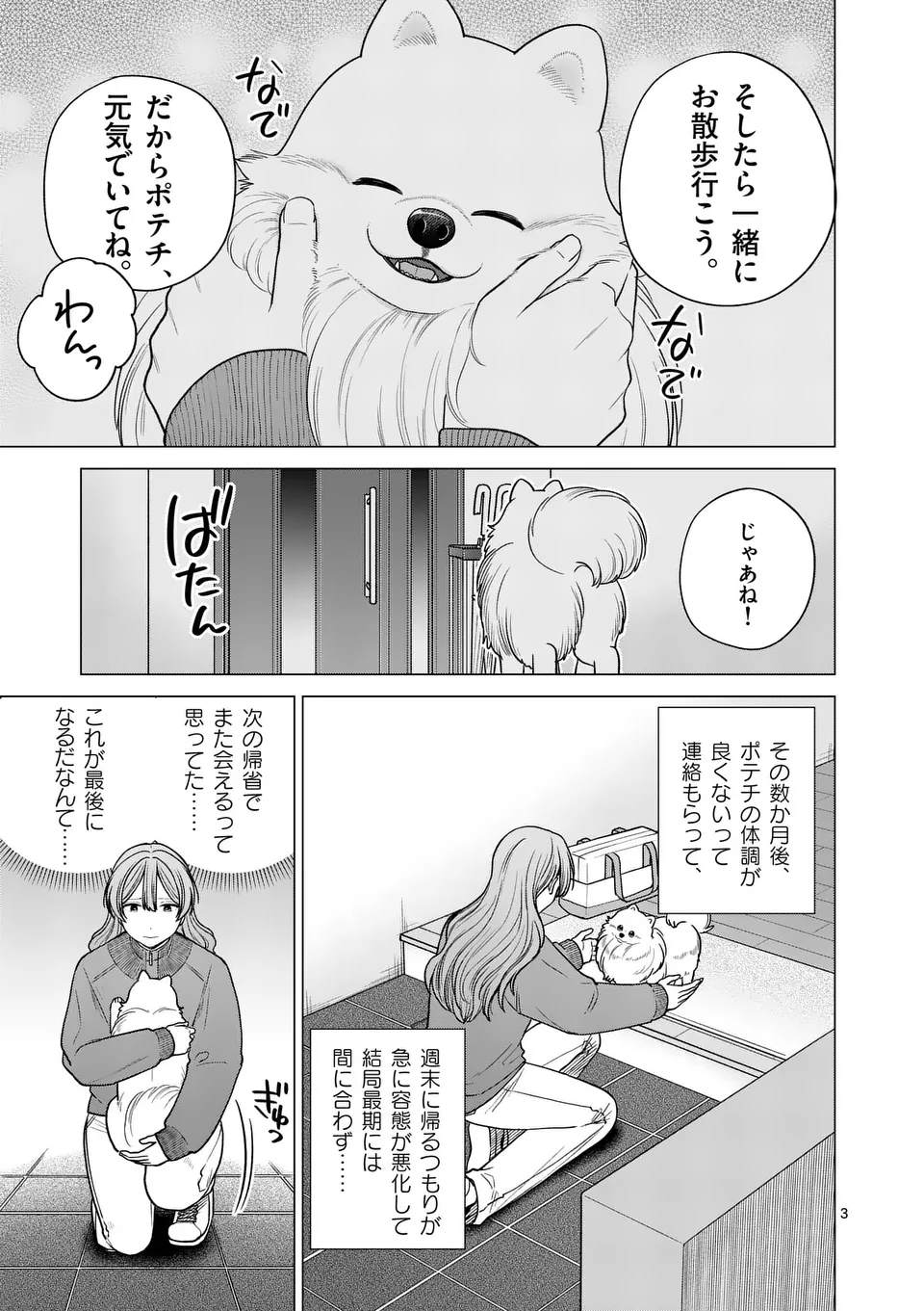 Isekai Pomeranian to Niji no Mofumofu Tabi Chapter 27 3ページ
