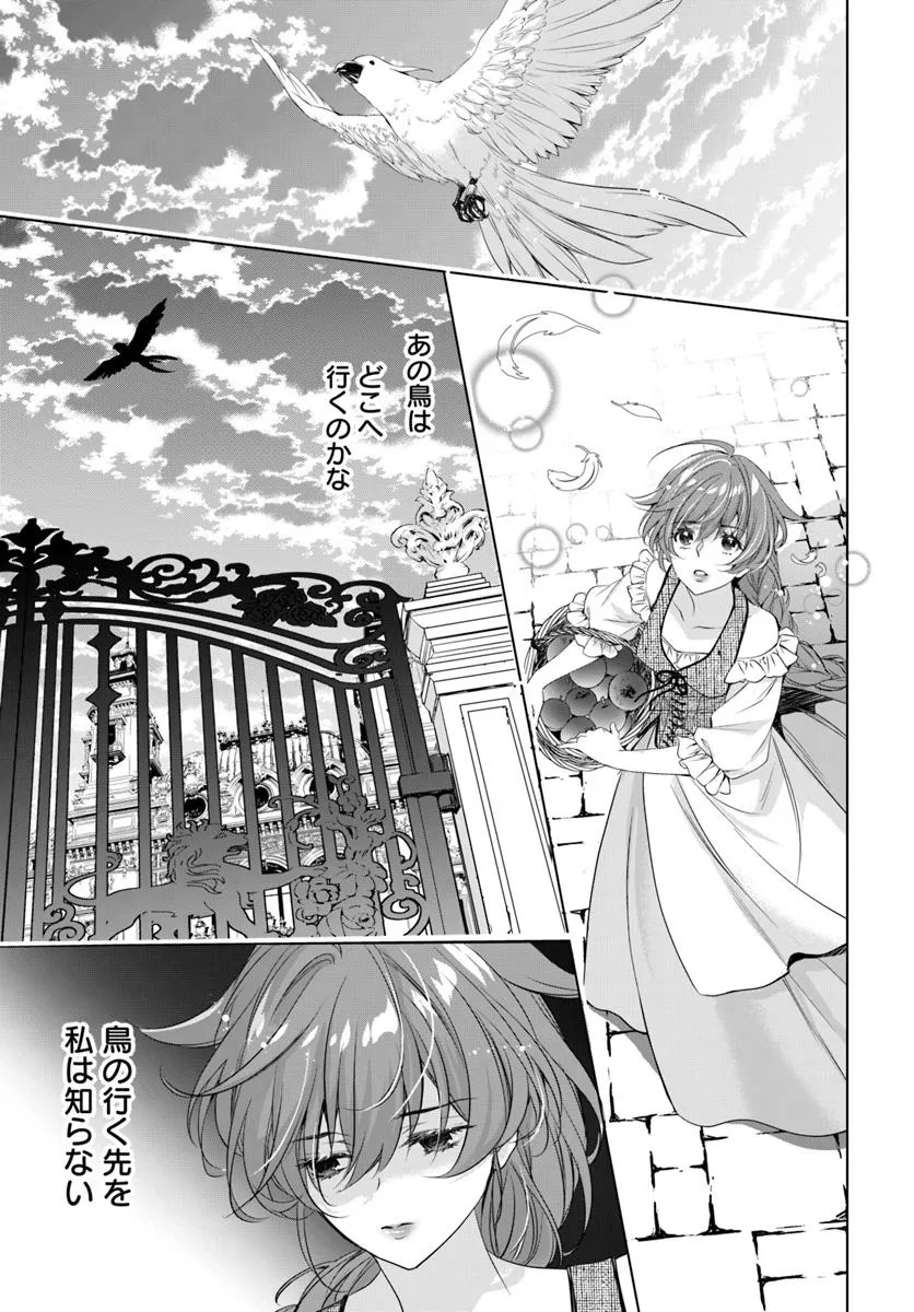 Kokuou Heika, Watashi wo Katte Kudasai! Chapter 1 2ページ
