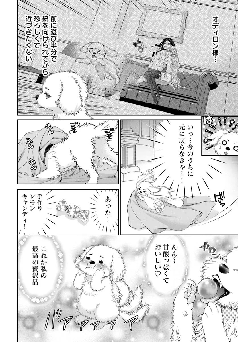 Kokuou Heika, Watashi wo Katte Kudasai! Chapter 1 13ページ