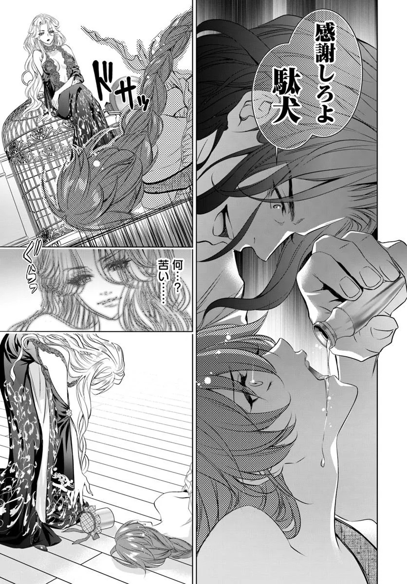 Kokuou Heika, Watashi wo Katte Kudasai! Chapter 1 30ページ