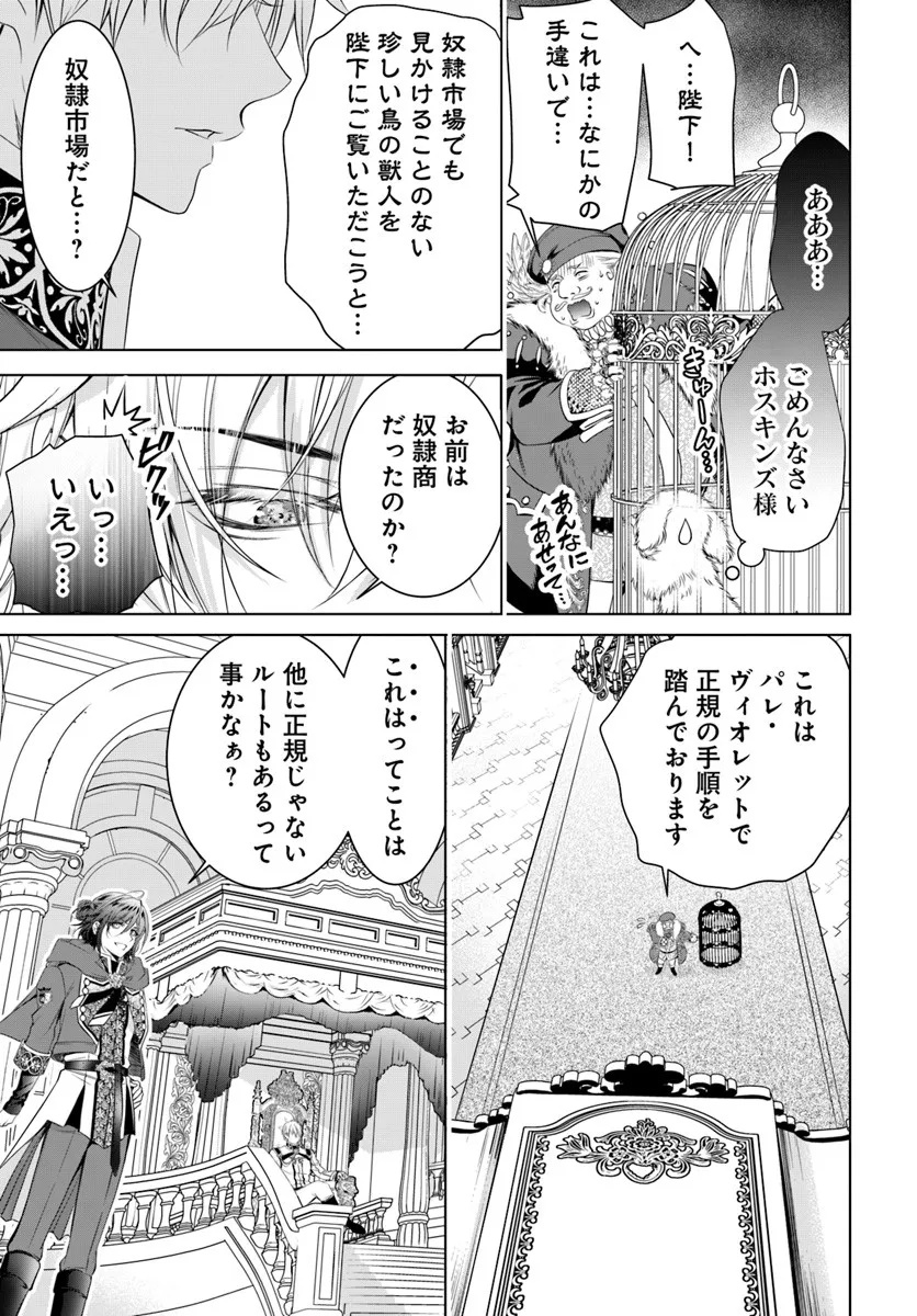 Kokuou Heika, Watashi wo Katte Kudasai! Chapter 2 11ページ