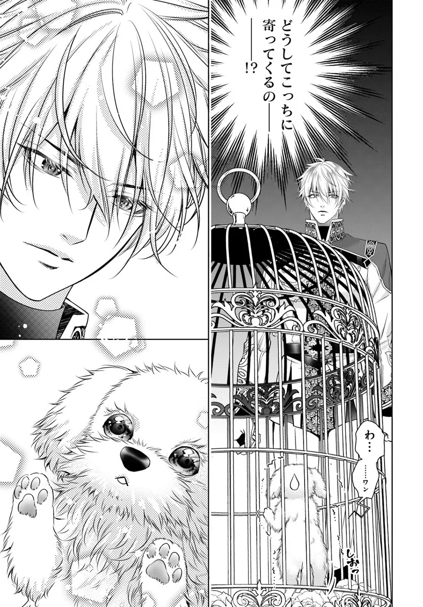 Kokuou Heika, Watashi wo Katte Kudasai! Chapter 2 15ページ