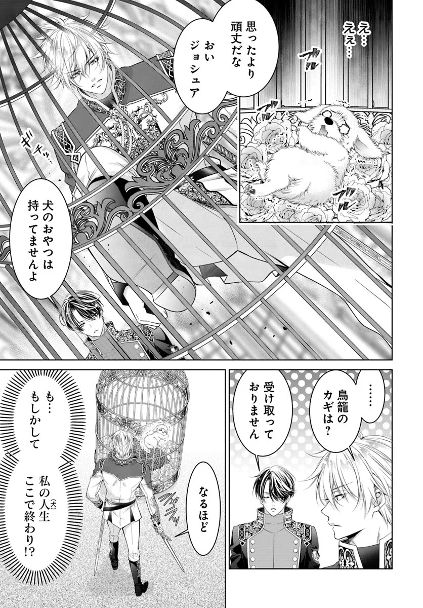 Kokuou Heika, Watashi wo Katte Kudasai! Chapter 2 17ページ